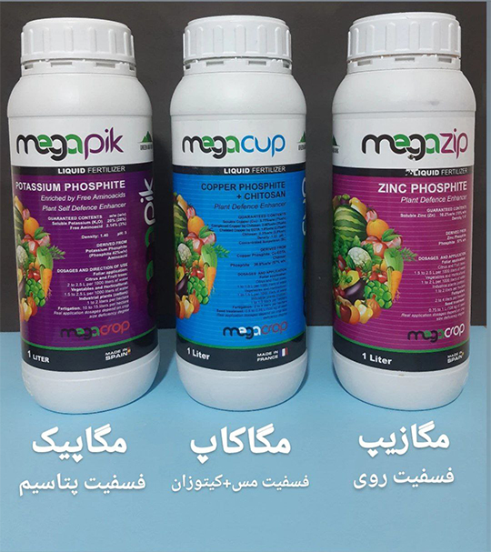 IMG_20240923_112642_248