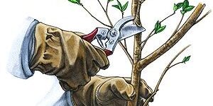 4b0166f011205487faae034f96e5a1e3