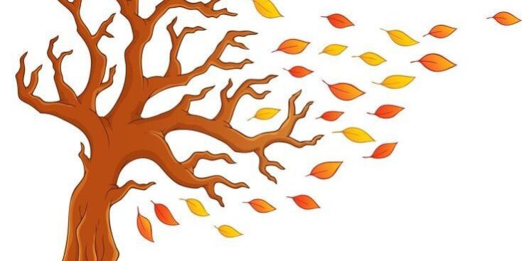 5881886656389301471 (1)